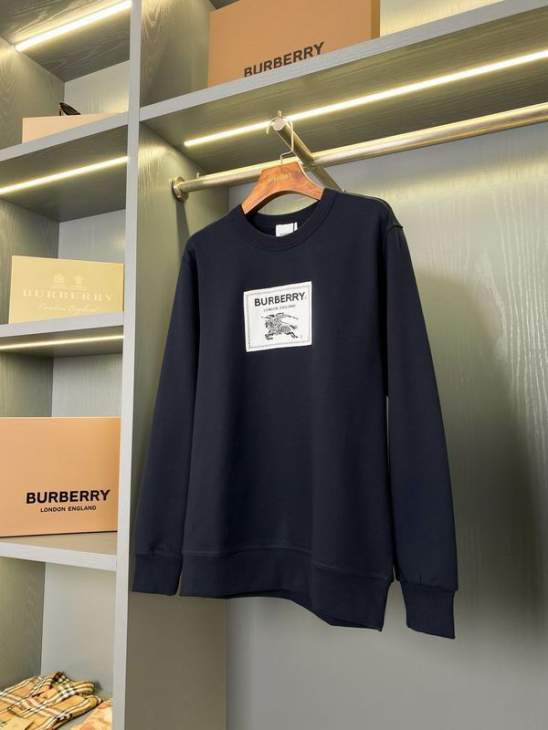 Picture of Burberry Sweatshirt _SKUBurberryS-2XLaztx877931016
